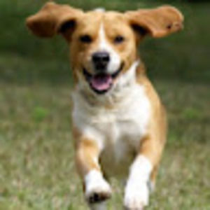 Meet your Posher, Nicholas